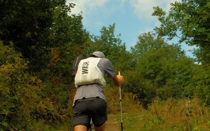 Nicolas Goullet de Rugy de dos en montée, un bâton Leki Ultratrail FX.One à la main, carquois dans le dos